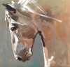 Stallion in Light Stallion in Light