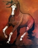 Painted Pirouette Painted Pirouette