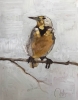 SOLD Meadowlark SOLD Meadowlark