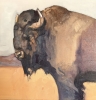 SOLD BisonBold SOLD BisonBold