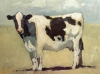 Neighbor's Cow SOLD Neighbor's Cow SOLD
