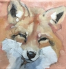 Fox in Winter Fox in Winter