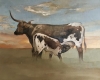 Longhorn Longhorn
