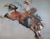 Saddlebronc Saddlebronc