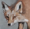 Rex the Fox Rex the Fox